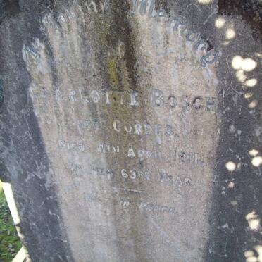 BOSCH Charlotte nee CORDES -1911