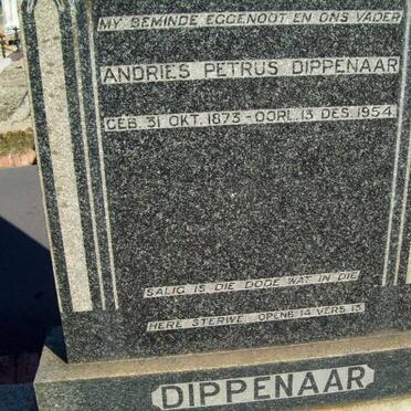 DIPPENAAR Andries Petrus 1873-1954
