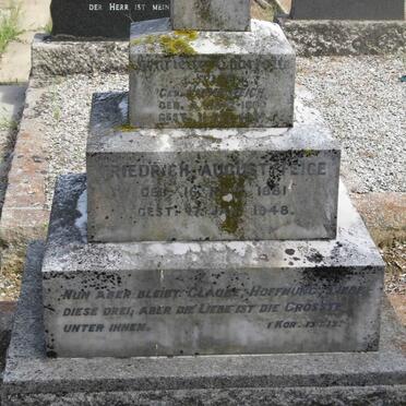 FEIGE Friedrich August 1881-1948