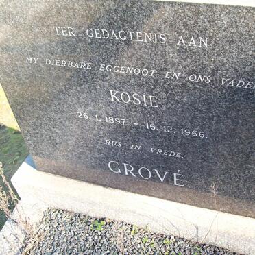 GROVE Kosie 1897-1966