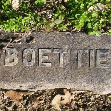 HAHN :: RADLOFF :: JOHNMAN