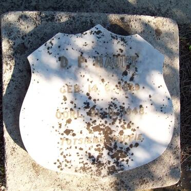 HAUPT D.P. 1879-1948