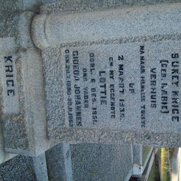 KRIGE Sukey nee RABIE -1935 :: KRIGE Lottie -1951 :: KRIGE Gideon Johannes 1880-1962