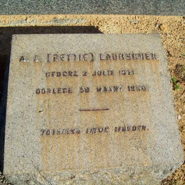 LAUBSCHER A.E. 1871-1950