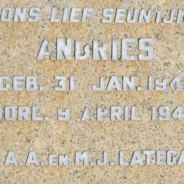 LATEGAN Andries 1945-1945