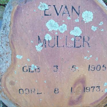 MULLER Evan 1905-1973