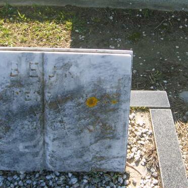 BEUK? :: ? Willem 1958-