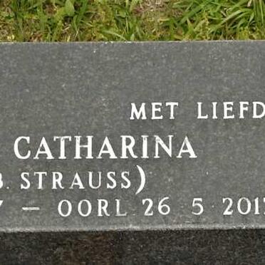 Ne - Surnames starting with the letters Ne