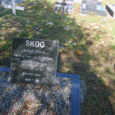 Sk - Surnames starting with the letters Sk