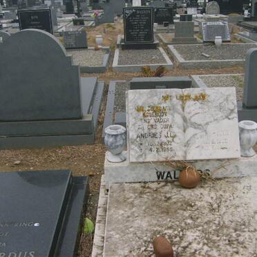 WALTERS Andries J.L. 1902-1988