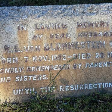 BLOMMESTEIN R.L., van 1902-1938