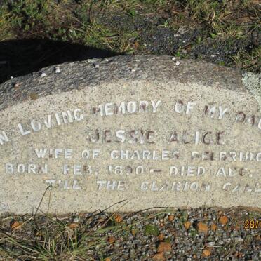 DELBRIDGE Jessie Alice 1890-1940