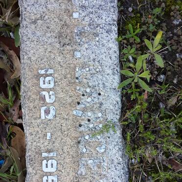 LANGEVELD J.C. 1922-1952