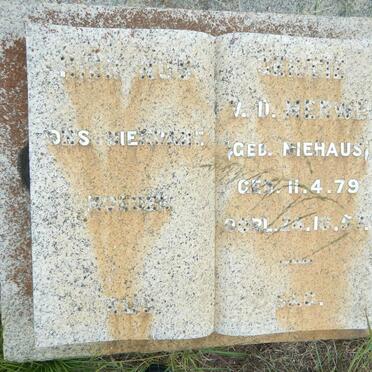 MERWE Gertie, van der nee NIEHAUS 1879-1957