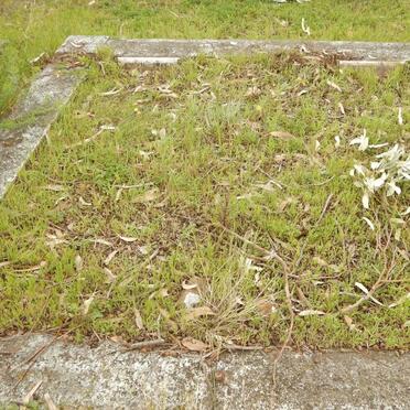 SWEET Bert &amp; Winnie