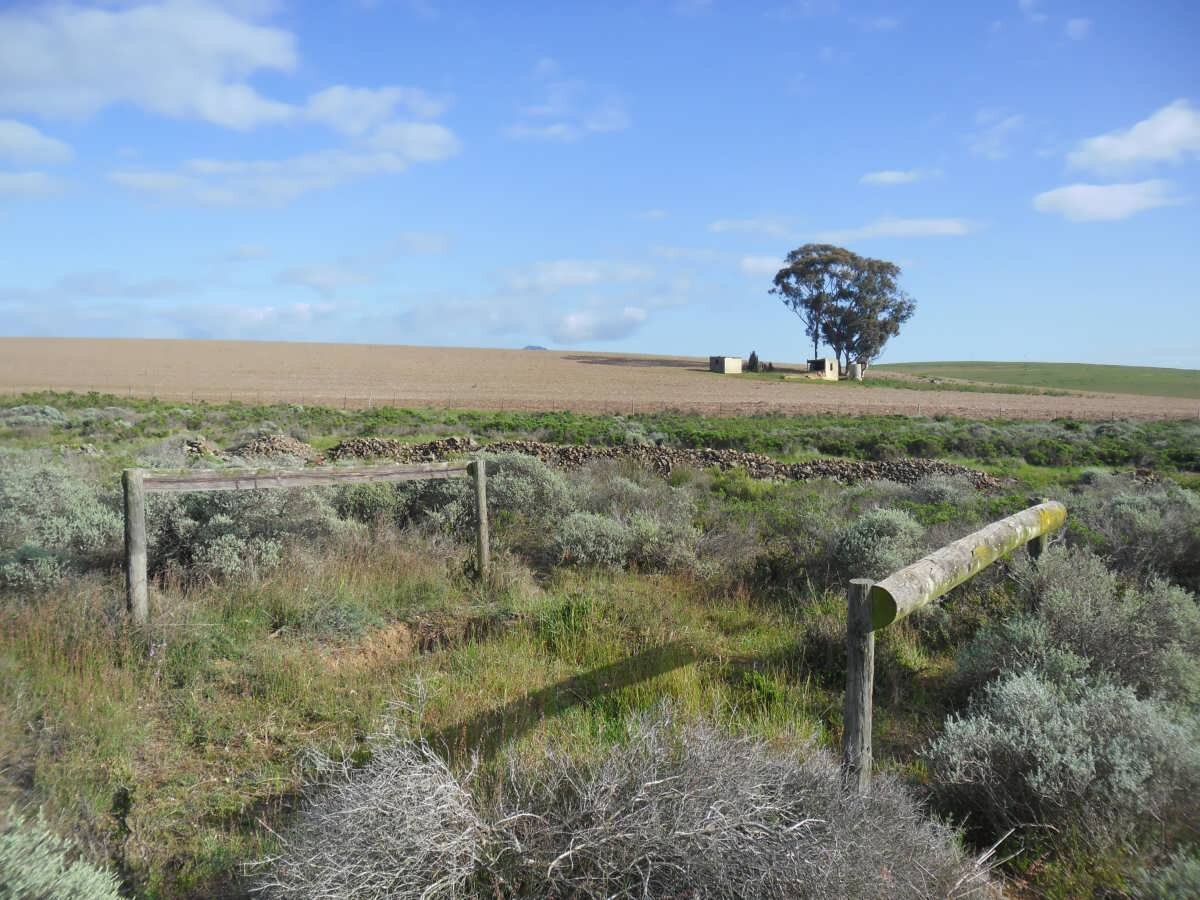 HUMAN Wilhelmina Petronella 1860 -1951