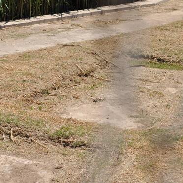 Western Cape, SWELLENDAM district, Buffeljagsrivier, Buffeljags Prison farm graves