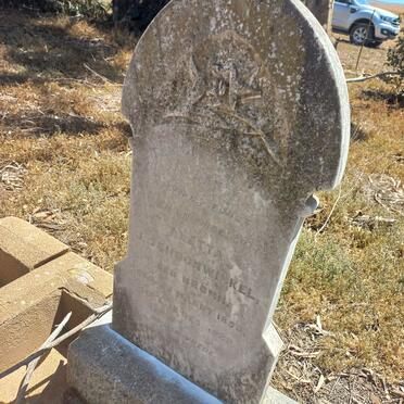 SCHOONWINKEL Aletta J. nee BRONN 1855-1929_01