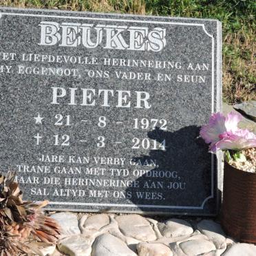 BEUKES Pieter 1972-2014