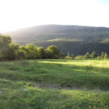 1. Overview / Oorsig