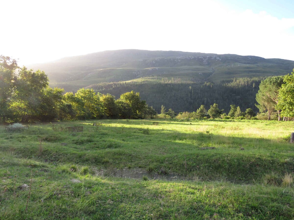 1. Overview / Oorsig