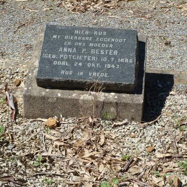 BESTER Anna P. nee POTGIETER 1886-1943