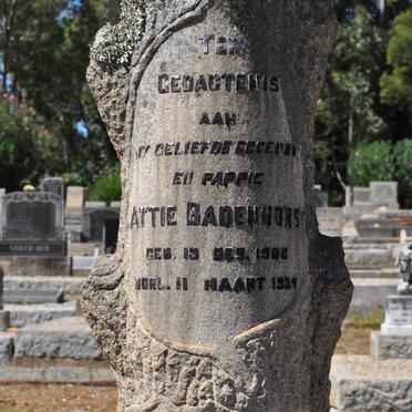 BADENHORST Attie 1900-1939