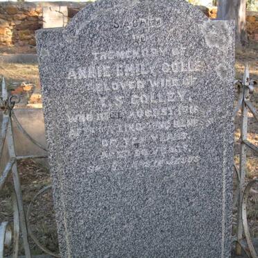 COLLEY Annie Emily - 1?16