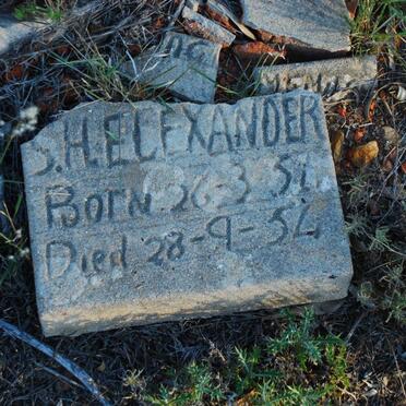 ELEXANDER S.H. 195?-1954