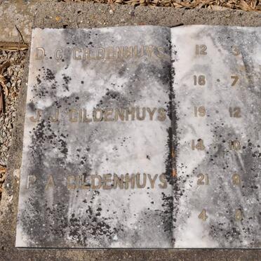 GILDENHUYS D.C. 1871-1947 :: GILDENHUYS J.J. 1882-1959 :: GILDENHUYS P.A. 1875-1953
