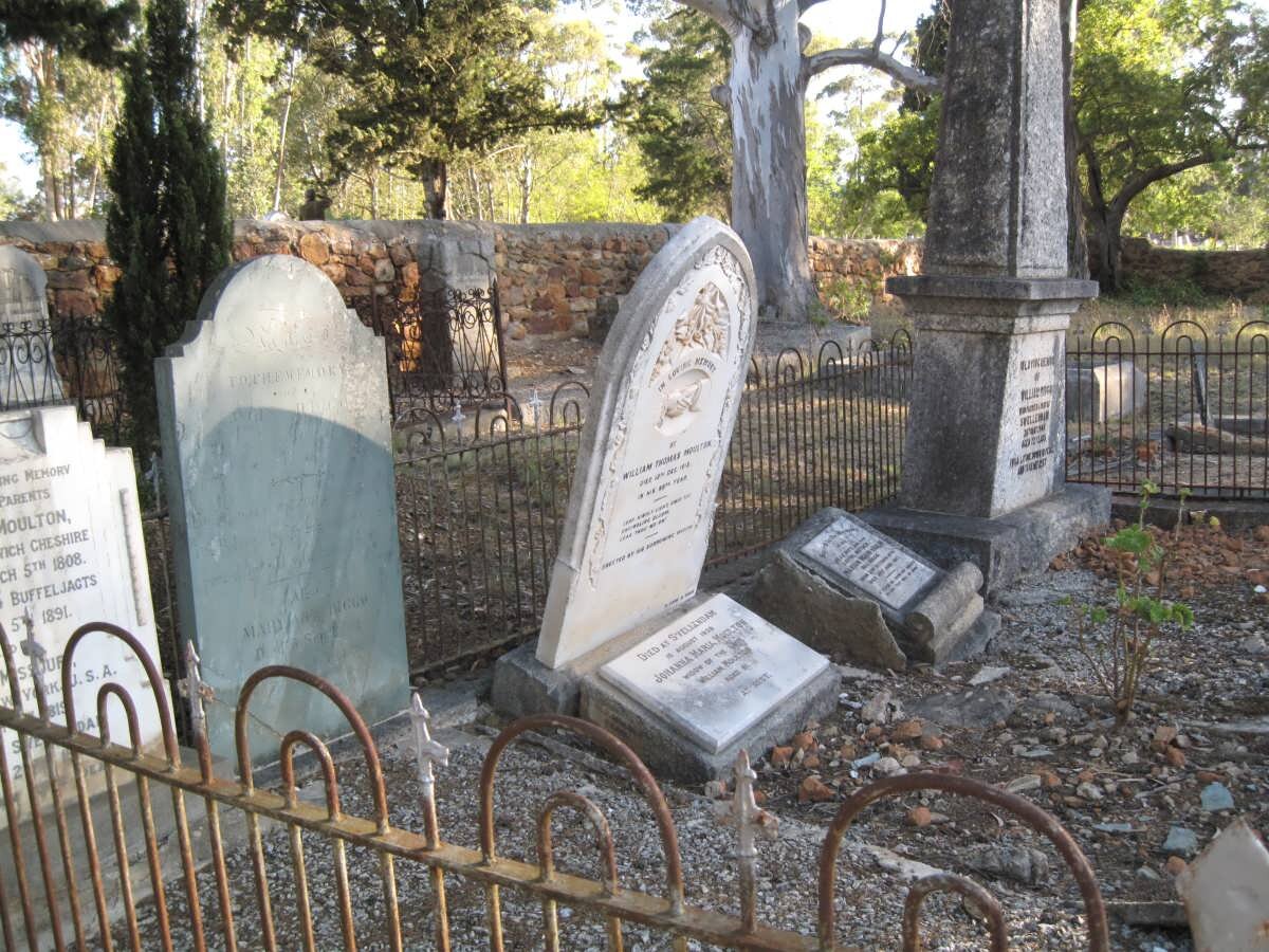 MOULTON :: HIGGO :: HOLM