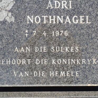 N - Vanne :: Surnames - N