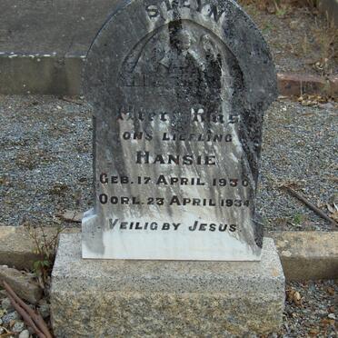 STEYN Hansie 1930-1934