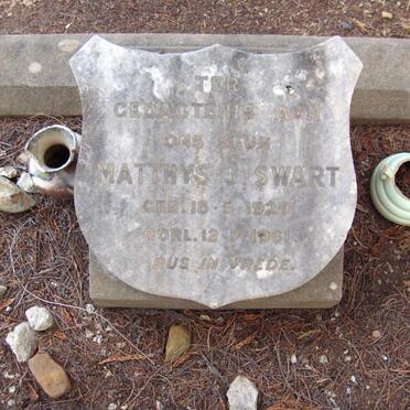 SWART Matthys J. 1929-1961