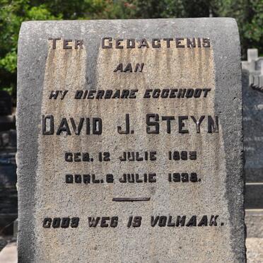 STEYN David J. 1885-1938