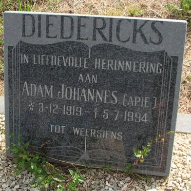 DIEDERICKS Adam Johannes 1919-1994