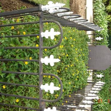 MULLER Adriaan Louw 1876-1876