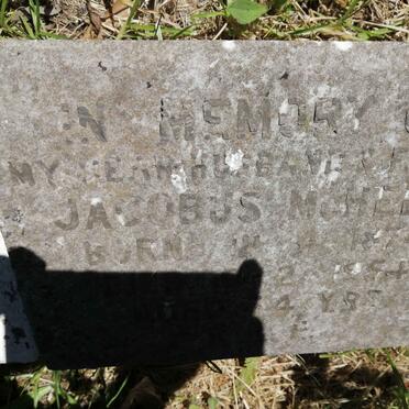 MCHELM Jacobus 1874-1954