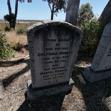 NORBYE Dolphina -195? :: NORBYE Martin -1956