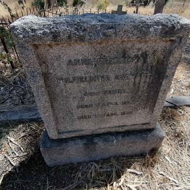 STEWART Anna Fredricka Wilhelmina nee FAURE 1863-1932