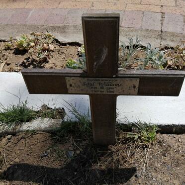 WILLIAMS Saul 1955-1986