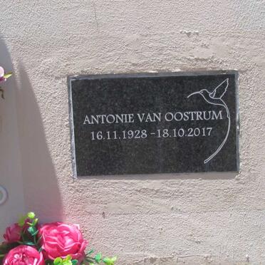 OOSTRUM Antonie, van 1928-2017
