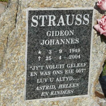 STRAUSS Gideon Johannes 1949-2004