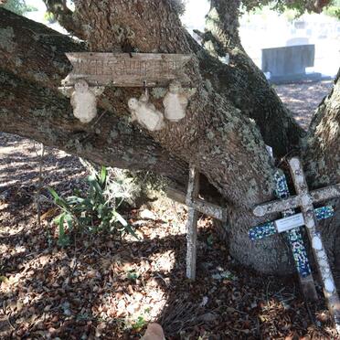 6. Overview / Oorsig