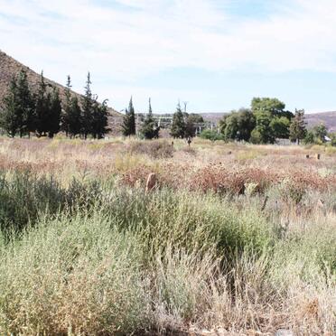 Western Cape, TOUWS RIVER, Main cemetery