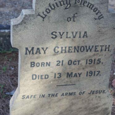 CHENOWETH Sylvia May 1915-1917