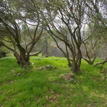 Western Cape, TULBAGH district, Weltevreden 239, Fraaigelegen, farm cemetery