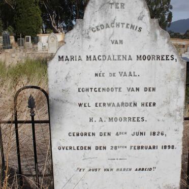 MOORREES :: DE VAAL :: MOORREES :: MOORREES