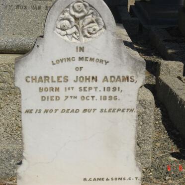 A - Surnames :: Vanne - A