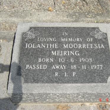 MEIRING Iolanthe Moorreesia 1903-1977